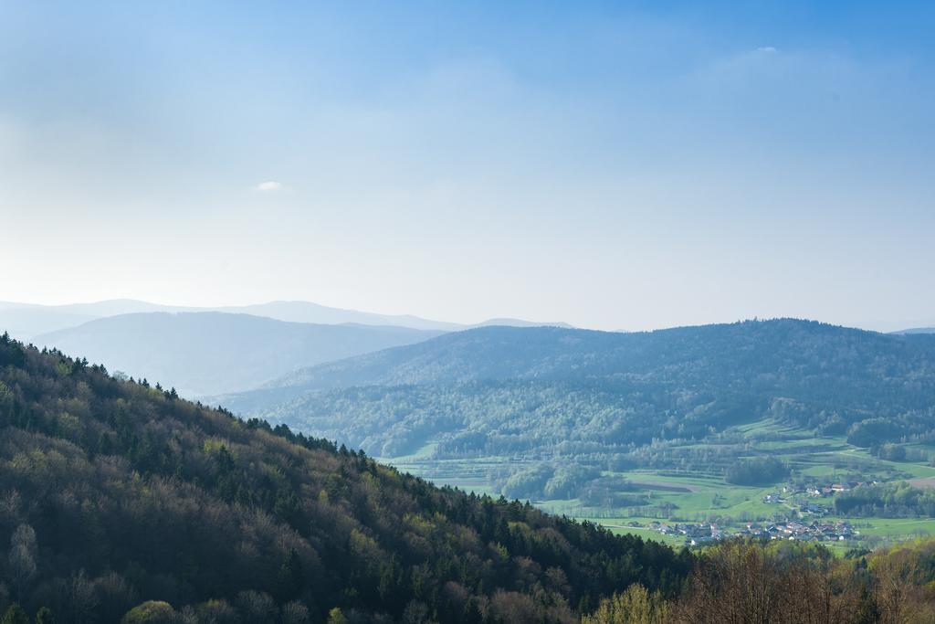 Panorama-Landgasthof Ranzinger Schöfweg 외부 사진